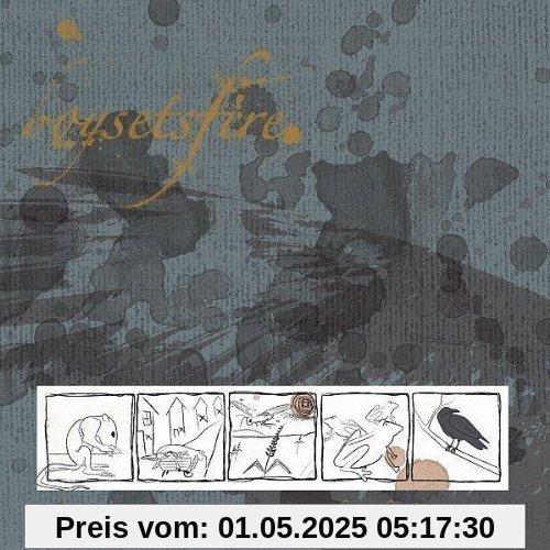 The Misery Index:Notes from the Plague Years von Boysetsfire