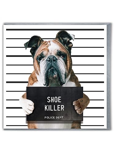 Brainbox Candy Lustige Geburtstagskarten – "Schuhkiller" – niedliche Hundekarten – Besitzer der englischen Bulldogge – Haustier-Hundeliebhaber – freche Geburtstagskarte für Ihn, Sie, Männer, Frauen, Brainbox Candy Lustige Geburtstagskarten – "Schuhkiller" – niedliche Hundekarten – Besitzer der englischen Bulldogge – Haustier-Hundeliebhaber – freche Geburtstagskarte für Ihn, Sie, Männer, Frauen, von Brainbox Candy