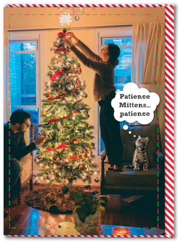 Brainbox Candy - Lustige Weihnachtskarte – "Patience Mittens Patience" – freche Weihnachtskarten – für Freunde, Familie und Kollegen – Lustige Weihnachtskarte mit Katzen-Motiv – 120 mm x 170 mm – Brainbox Candy - Lustige Weihnachtskarte – "Patience Mittens Patience" – freche Weihnachtskarten – für Freunde, Familie und Kollegen – Lustige Weihnachtskarte mit Katzen-Motiv – 120 mm x 170 mm – von Brainbox Candy