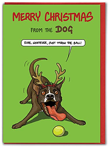 Brainbox Candy - Lustige Weihnachtskarten – Hundekarten – „From The Dog“ – Haustierhund – Hundeliebhaber – freche Weihnachtskarte für Ihn Partner Freund – verkauft von Brainbox Candy von Brainbox Candy