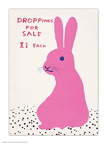 Brainbox Candy Offizielle David Shrigley Postkarte – "Droppings For Sale" – lustige Postkarten – David Shrigley Kunst – A6 Druck – künstlerische Postkarte – Kaninchenliebhaber – verkauft von Brainbox Candy