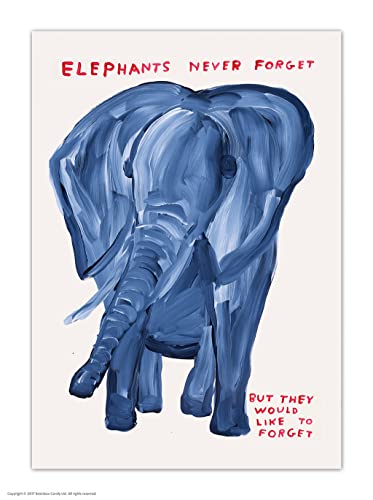 Brainbox Candy Offizielle David Shrigley Postkarte – "Elephants Never Forget" – lustige Postkarten – David Shrigley Kunst – A6 Druck – künstlerische Postkarte – verkauft von Brainbox Candy
