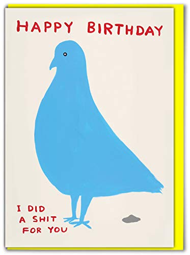 Brainbox Candy Offizielle David Shrigley – lustige Geburtstagskarte "Pigeon Shit" – perfekt für beste Freunde, Freunde, Ihn, Ihren Freund, Freundin von Brainbox Candy
