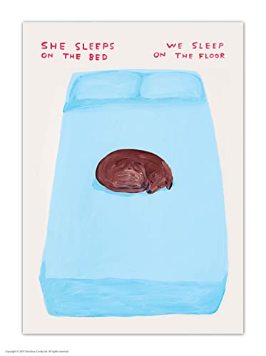 Offizielle David Shrigley Postkarte – "She Sleeps On The Bed" – Lustige Postkarten – David Shrigley Art – A6 Druck – Künstlerische Postkarte – Hundeliebhaber Offizielle David Shrigley Postkarte – "She Sleeps On The Bed" – Lustige Postkarten – David Shrigley Art – A6 Druck – Künstlerische Postkarte – Hundeliebhaber von Brainbox Candy