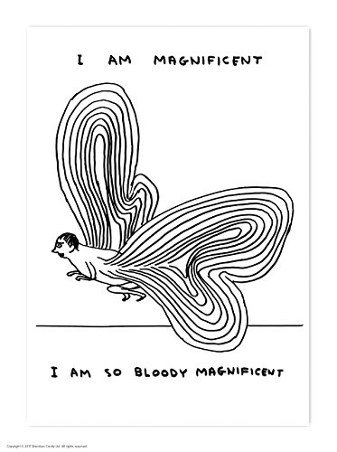 Witzige, humorvolle Postkarte von David Shrigley „I Am Magnificent“ von Brainbox Candy