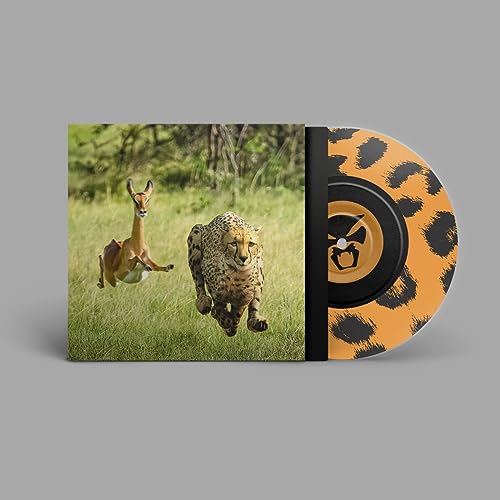 No More Lies (Ltd One-Sided Coloured 7inch) [Vinyl Single] von Brainfeeder