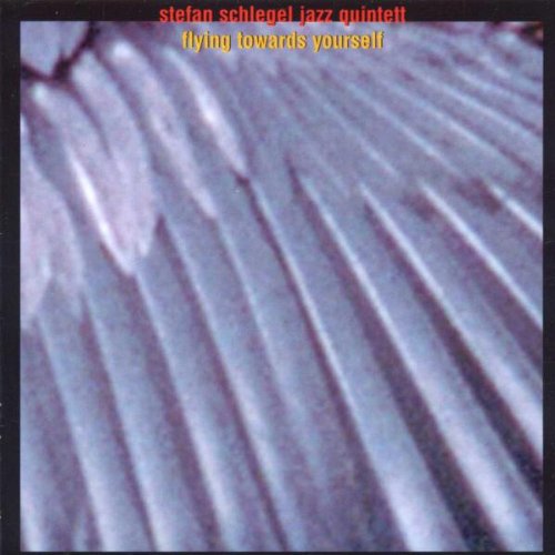 Flying towards yourself Flying towards yourself von Brambus Records