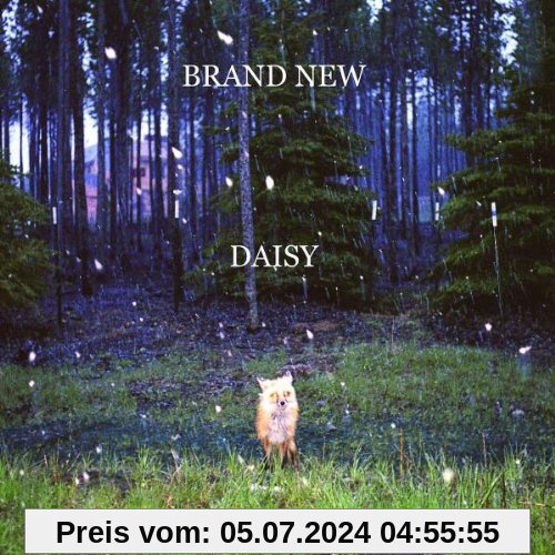 Daisy von Brand New