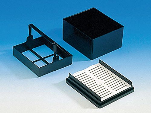 PCR 8er-Strips Deckel, gewölbt, PP, grün von BRAND