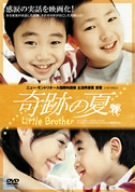 奇跡の夏 [DVD] von BrandName