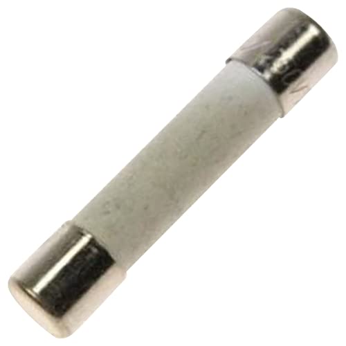 BRANDT – Sicherung 10 A für Micro Wellen Brandt BRANDT – Sicherung 10 A für Micro Wellen Brandt von Brandt