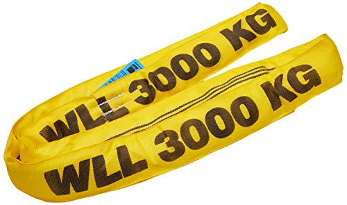 Braun 30021RS Rundschlinge 3000 kg Tragkraft, 2 m Umfang, endlos mit Polyesterkern, gelb von Braun GmbH