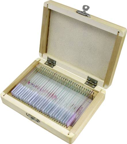 Bresser Optik 5985000 Experimentier-Set Bresser Optik 5985000 Experimentier-Set von Bresser Optik