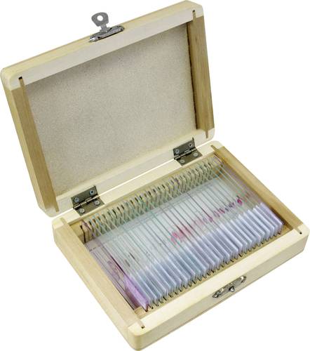 Bresser Optik 5986000 Experimentier-Set Bresser Optik 5986000 Experimentier-Set von Bresser Optik