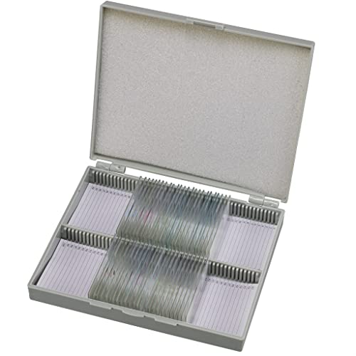 Bresser Mikroskop Dauerpräparate 30 Stück in Kunststoffbox, Lernpräparate aus der Biologie Bresser Mikroskop Dauerpräparate 30 Stück in Kunststoffbox, Lernpräparate aus der Biologie von Bresser