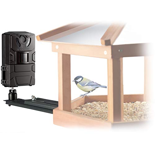 Bresser Vogel Kleintier-Kamera SFC-1 Überwachungskamera für heimische Vögel oder andere Kleintiere mit Bewegungssensor für Fotos und Videos in Full HD Qualität von Bresser