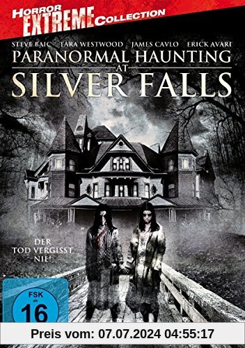 Paranormal Haunting at Silver Falls von Brett Donowho