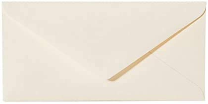 100 - Briefumschläge Creme Kuverts DIN Lang Format 110 x 220 mm | Nassklebung | komplett durchgefärbtes Papier | Post-Umschläge ohne Fenster | ideal für Grußkarten und Einladungen von Briefumschläge24Plus