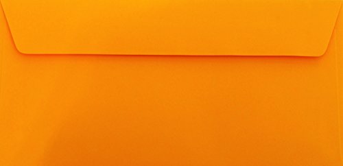 100 Din lang Briefumschläge Orange Din lang 11 x 22 cm mit Haftstreifen, Grammatur 120 g/m² von Briefumschläge24Plus
