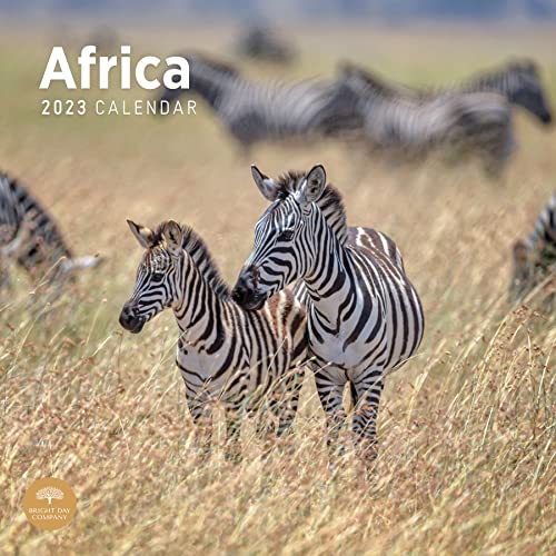 2023 Africa Monthly Wall Calendar by Bright Day, Calendars For A Cause, 12 x 12 Inch von Bright Day Calendars