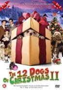 12 Dogs of Christmas 2 [DVD-AUDIO] von Bright Vision