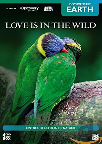 Love Is in the Wild [DVD-AUDIO] von Bright Vision