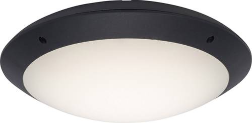 Brilliant G96053/63 Medway LED-Außendeckenleuchte LED LED fest eingebaut 12W Anthrazit Brilliant G96053/63 Medway LED-Außendeckenleuchte LED LED fest eingebaut 12W Anthrazit von Brilliant