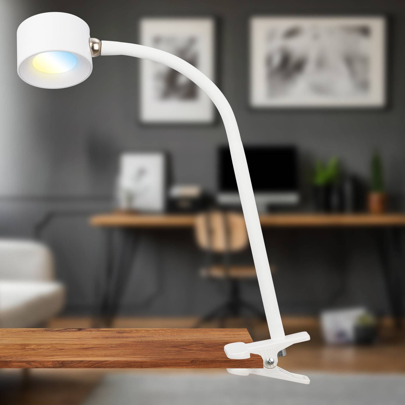 LED-Akku-Klemmleuchte Tari, weiß, CCT, Touchdimmer, USB LED-Akku-Klemmleuchte Tari, weiß, CCT, Touchdimmer, USB von Briloner