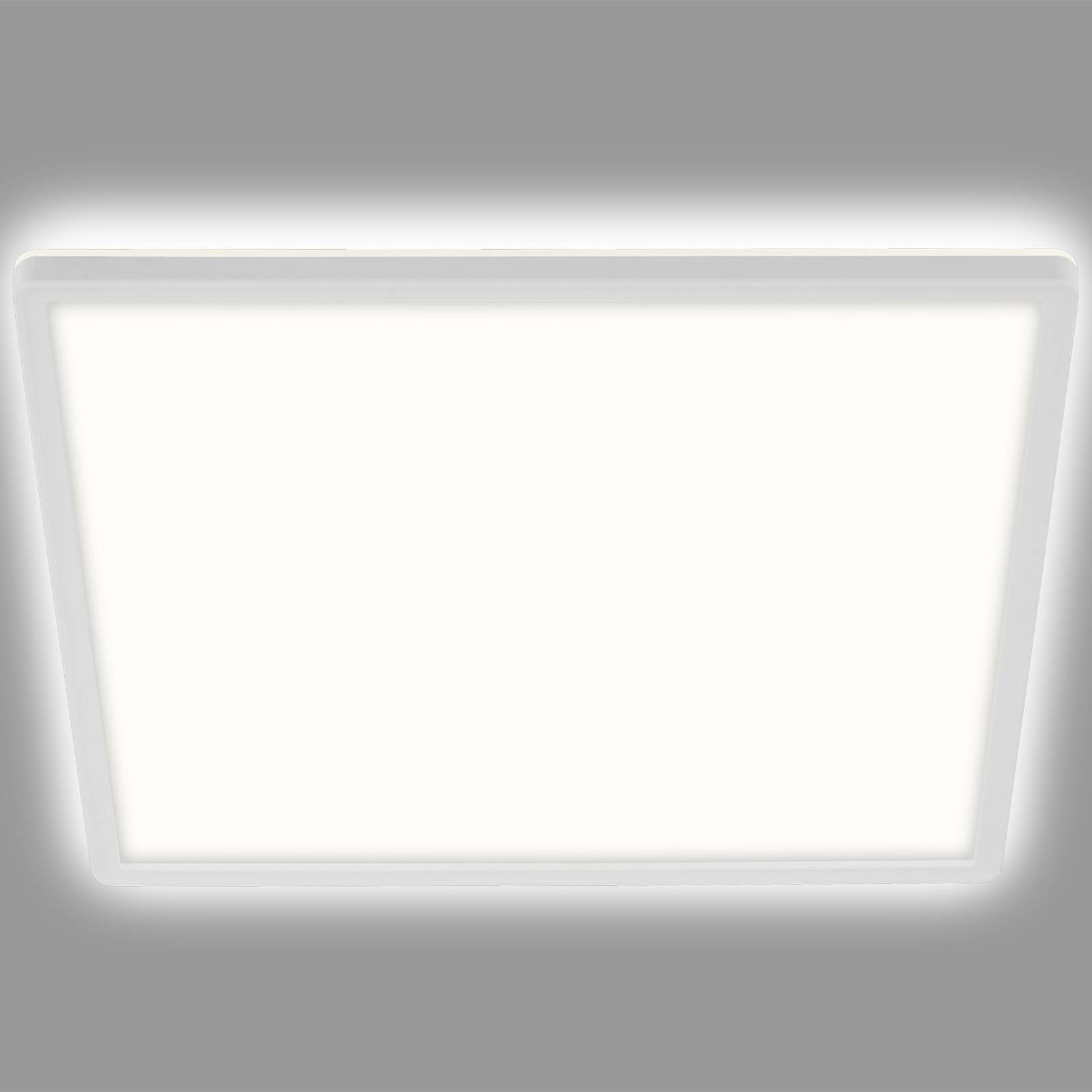 LED-Deckenleuchte Slim, eckig 29,3 x 29,3 cm von Briloner