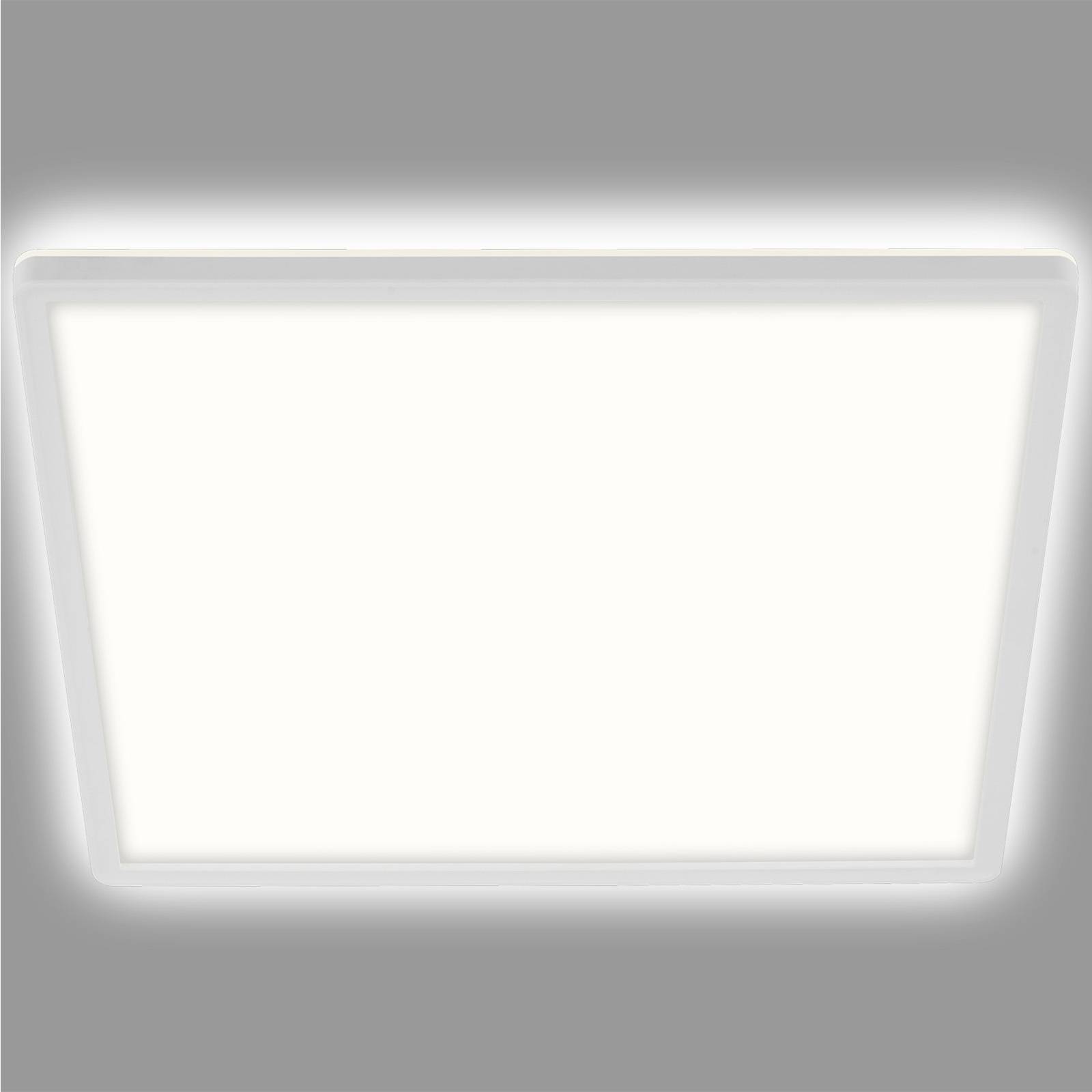 LED-Deckenleuchte Slim, eckig 42 x 42 cm von Briloner