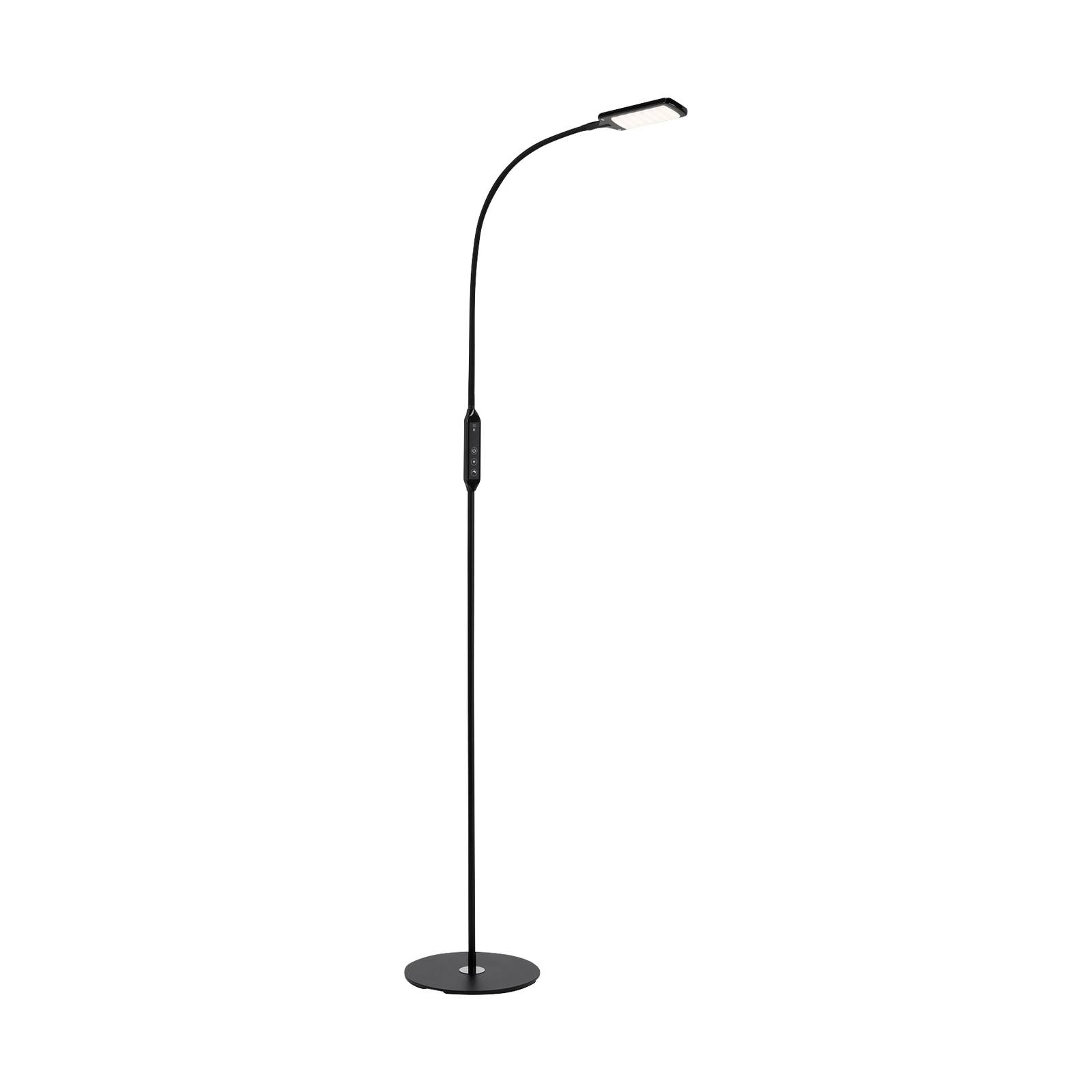 LED-Stehleuchte Office Remote, schwarz, dimmbar, CCT LED-Stehleuchte Office Remote, schwarz, dimmbar, CCT von Briloner