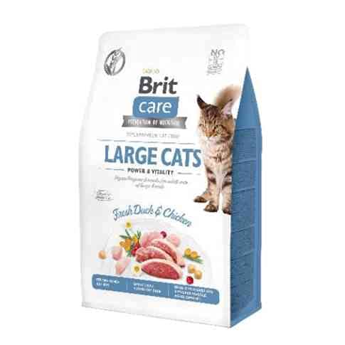 VAFO PRAHA s.r.o. Brit Care Cat Cat Big Cats, 7 kg Power & Vitality GF von Brit
