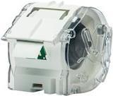 Brother CZ-1003 - Rolle (1,9 cm x 5 m) 1 Rolle(n) Endlosetiketten - für Brother VC-500W (CZ1003) von Brother