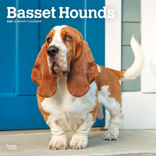 Basset Hounds 2025 12 X 24 Inch Monthly Square Wall Calendar Plastic-Free von BrownTrout