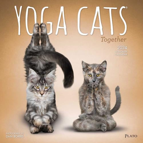 Browntrout, Wandkalender 2024 Yoga Cats Together von BrownTrout