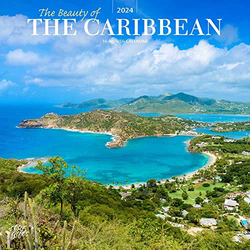 Die Schönheit der Karibik | 2024 30,5 x 61 cm Monatlicher quadratischer Wandkalender | Aufkleberbogen | StarGifts | Reise Natur Tropischer Strand von BrownTrout