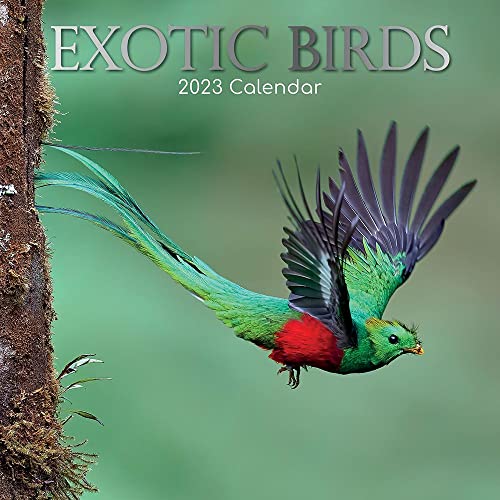 Exotik Birds – Exotische Vögel 2023 – 16-Monatskalender: Original Gifted Stationery-Kalender [Mehrsprachig] [Kalender] (Wall-Kalender) von BrownTrout
