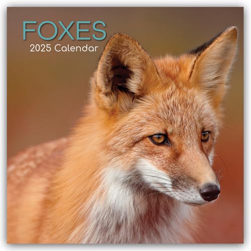 Foxes – Füchse 2025 – 16-Monatskalender: Original The Gifted Stationery Co. Ltd [Mehrsprachig] [Kalender] (Wall-Kalender) von BrownTrout