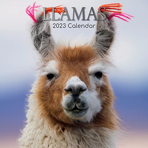 Llamas – Lamas 2023 – 16-Monatskalender: Original Gifted Stationery-Kalender [Mehrsprachig] [Kalender] (Wall-Kalender) von BrownTrout