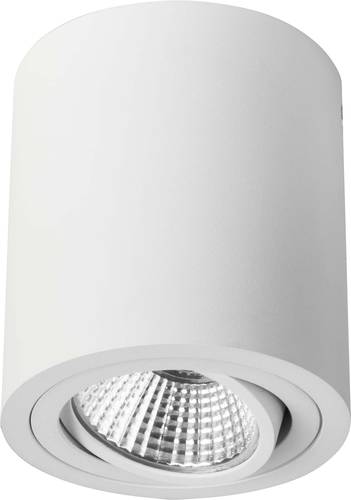 Brumberg 12063173 12063173 LED-Deckenleuchte LED 6W LED Weiß Brumberg 12063173 12063173 LED-Deckenleuchte LED 6W LED Weiß von Brumberg