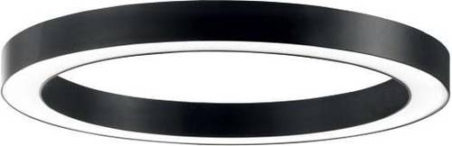 Brumberg 13675183 13675183 LED-Deckenleuchte LED 12.5W Schwarz Brumberg 13675183 13675183 LED-Deckenleuchte LED 12.5W Schwarz von Brumberg