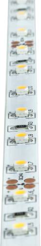 Brumberg 15271004 LED-Streifen EEK: G (A - G) 24V 5m Neutralweiß 1St. von Brumberg