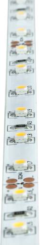Brumberg 15273004 LED-Streifen EEK: F (A - G) 24V 5m Neutralweiß 1St. von Brumberg