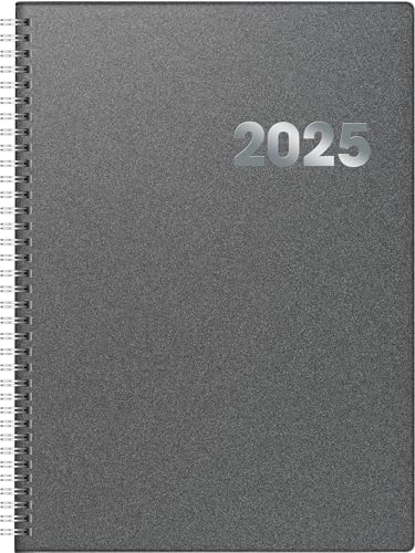 BRUNNEN Buchkalender Modell 789 (2025), 1 Seite = 1 Tag, A4, 384 Seiten, Kunststoff-Einband Reflection, grau von Brunnen