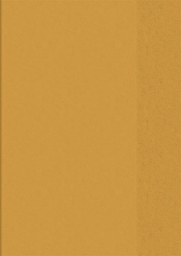 Brunnen 104050440 Hefthülle / Heftumschlag (A4, Folie, transparent, mit Namensschild in der Einstecktasche) orange von Brunnen