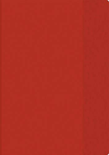 Brunnen 104054420 Hefthülle (für A4 mit Namensschild in der Einstecktasche, 1 Umschlag) rot von Brunnen