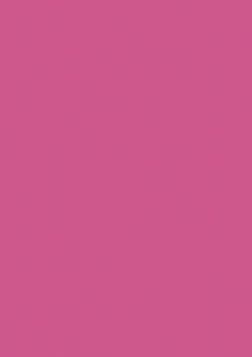 Brunnen 105123526 Universalpapier, A4, 35 Blatt, 120 g/m², fuchsia von Brunnen