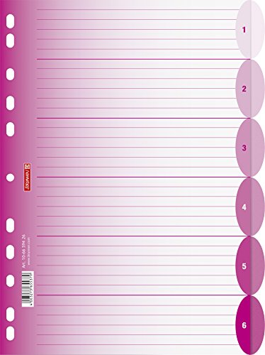 Brunnen 106659426 Ringbuchregister Colour Code (für Ordner und Ringbücher, aus PP, für A4, 6 Tabs) pink von Brunnen
