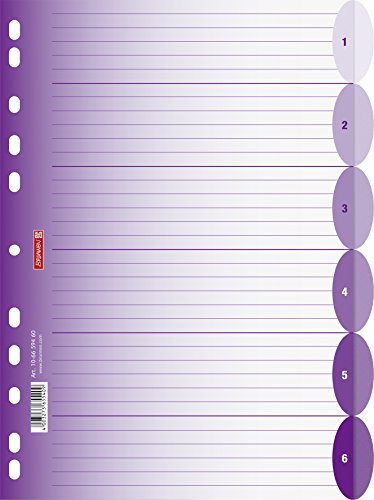 Brunnen 106659460 Ringbuchregister Colour Code (für Ordner und Ringbücher, aus PP, für A4, 6 Tabs) violett / purple von Brunnen