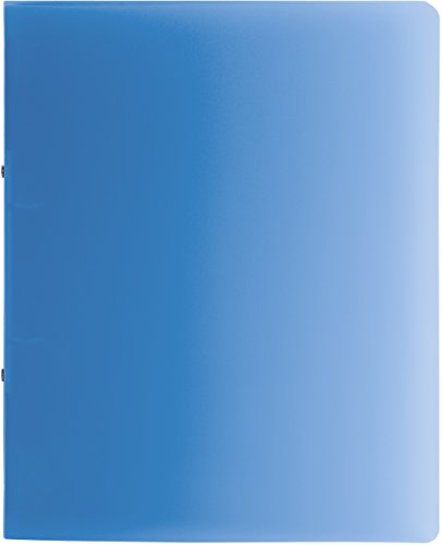 Brunnen Präsentationsringbuch Fact, 2 Bügel, Durchmesser 16 mm, A4, 255 x 318 mm, hellblau von Brunnen